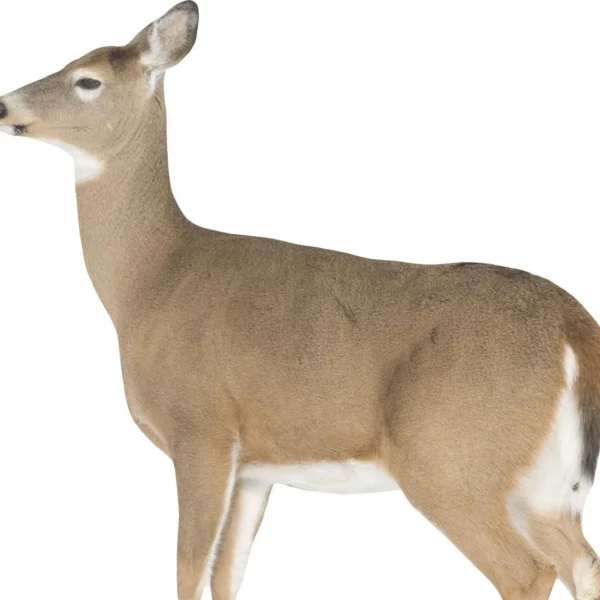 Montana Decoy Co. Montana Decoy Co Dreamy Doe Decoy