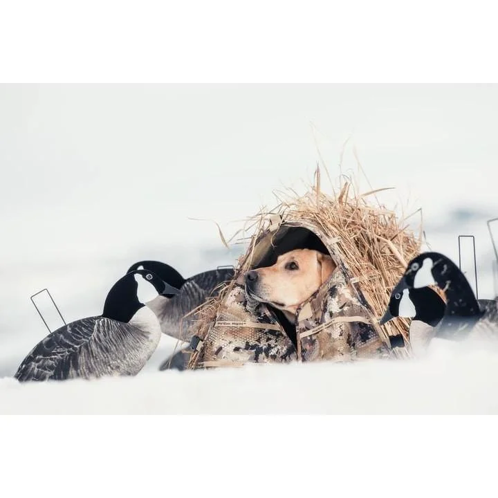 primary-45451 AdvenTec LLC dba Rig Em Right Outdoors Rig'Em Right Field Bully Dog Blind Optifade Marsh