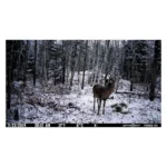 GG TELECOM /SPYPOINT Spypoint FORCE-24 Non-Cellular Trail Camera