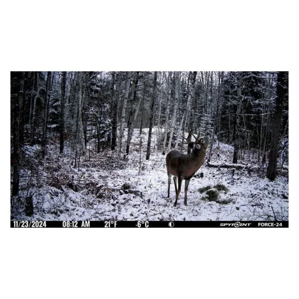 GG TELECOM /SPYPOINT Spypoint FORCE-24 Non-Cellular Trail Camera