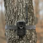 GSM StealthCam Fusion Max trail camera strapped to a tree, front view