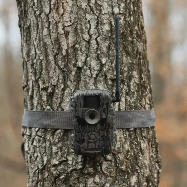 GSM StealthCam Fusion Max trail camera strapped to a tree, front view