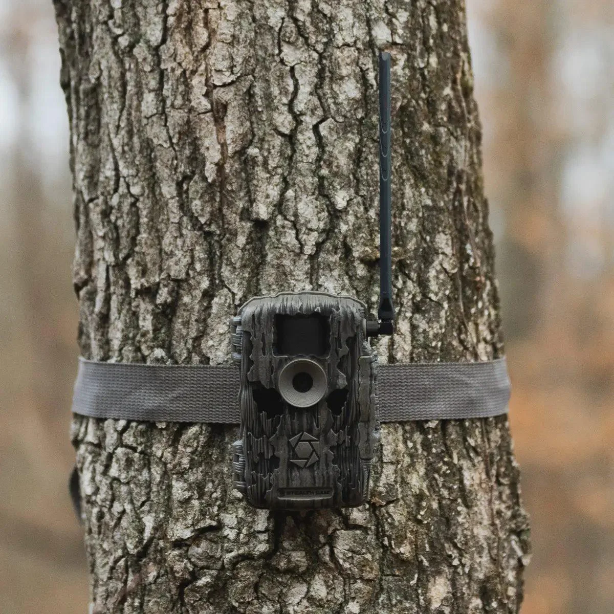 primary-46021 GSM StealthCam Fusion Max trail camera strapped to a tree, front view