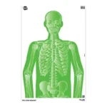 Allen Company ALLEN EZ AIM 12"X18" IMPOSING 8PK