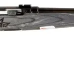 Savage Arms SAV A17 SPORTER 17HMR 22" 10RD LAM