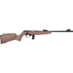 ROSSI RB 22LR 16" 10RD COMPACT FDE