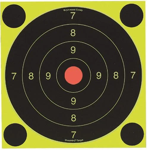 Birchwood Casey Shoot-N-C International Target