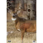 Birchwood Casey Pregame Targets Deer target with buck, bullseye and outlined vital zone
