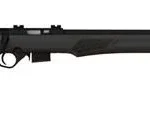 ROSSI RB17 17HMR 21" 5RD BLK