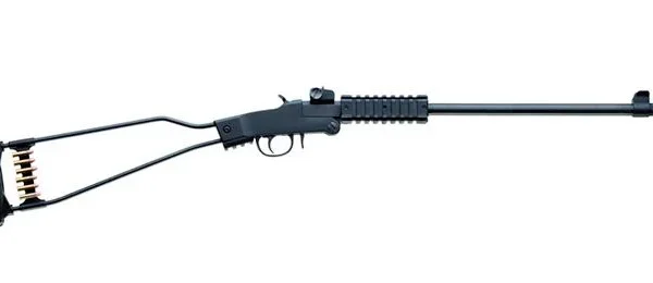Chiappa Firearms USA Ltd Chiappa Little Badger 17 HMR