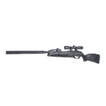 Gamo USA GAMO SWARM WHISPER .22 W/SCP