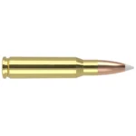NOSLER 308WIN 150GR AB 20/200