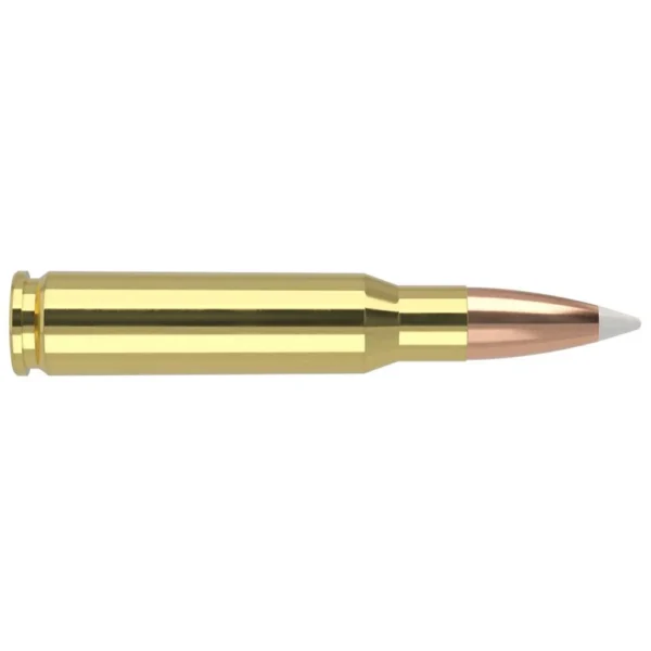 NOSLER 308WIN 150GR AB 20/200