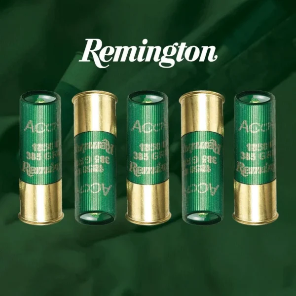 Remington REM ACCU 12GA 2.75 385GR SABOT 5/100