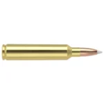 NOSLER TGA 28 NOSLER 160GR AB 20/200