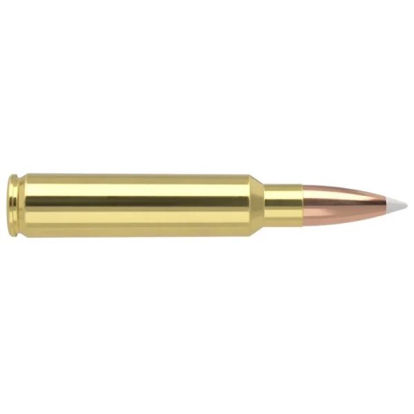 NOSLER 33NOS 225GR AB 20/200