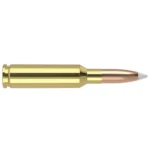 NOSLER 6.5CM 140GR AB 20/200
