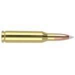 NOSLER TGA ammunition, brass cartridge with copper-colored pointed bullet in side view