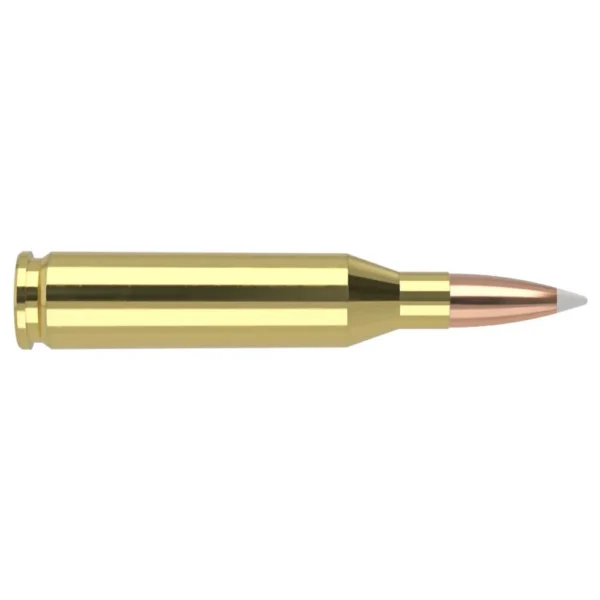 NOSLER TG 243WIN 100GR PT 20/200