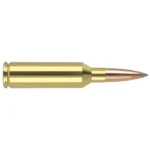 NOSLER TGA cartridge, left side view with brass case and copper-coloured pointed bullet