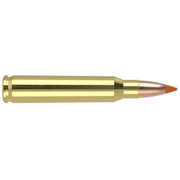 NOSLER 223 REM 55GR BT 20/200
