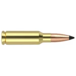 Nosler VG, side view of brass cartridge with copper-colored bullet and black tip