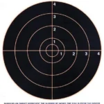 Champion Traps & Targets CHAMPION VISISHOT 8" BULLSEYE 10PK