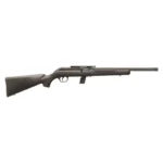 Savage Arms SAV 64 FV-SR THRD BBL 22LR 16 1/2"