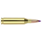 NOSLER 243WIN 90GR BT 20/200