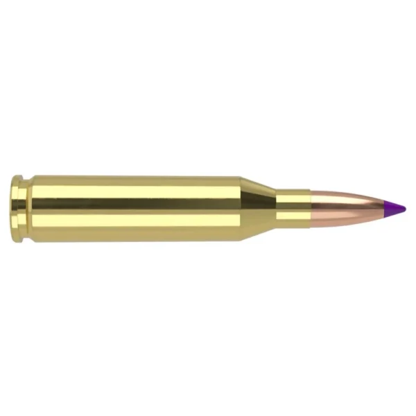 NOSLER 243WIN 90GR BT 20/200