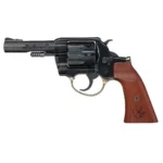 Henry Repeating Arms HENRY H16 GLDN RVLVR 22LR 10RD 4" GF
