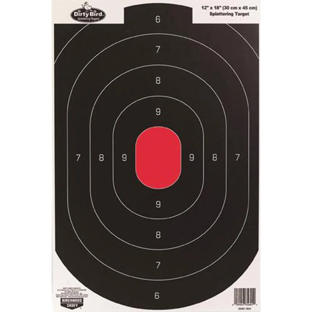 primary-49709 Birchwood Casey Dirty Bird Silhouette Target