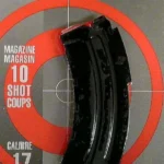 Savage Arms MAG SAV MKII 22LR/17HM2 10RD BL