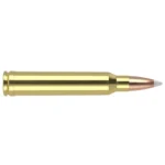 NOSLER 300WIN 180GR AB 20/200, brass cartridge in side view with copper-coloured pointed bullet