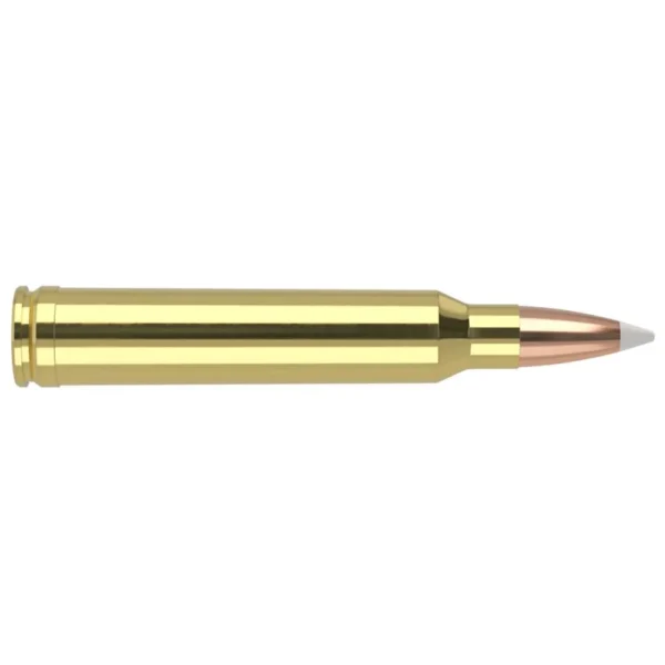 NOSLER 300WIN 180GR AB 20/200