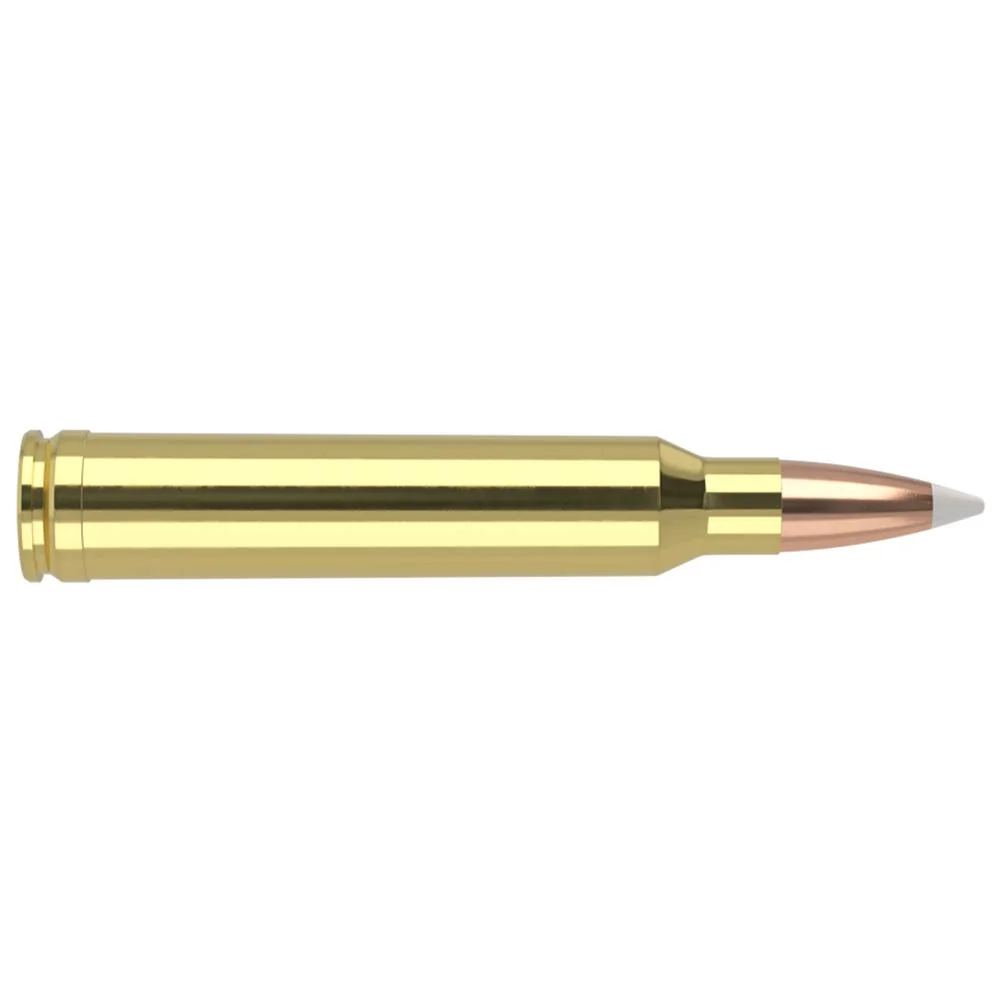 primary-49950 NOSLER 300WIN 180GR AB 20/200, brass cartridge in side view with copper-coloured pointed bullet
