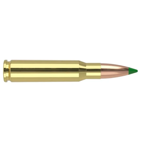 NOSLER 308WIN 165GR BT HUNT 20/200