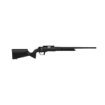 Retay USA Retay ASEND Extra Black Matte Bolt Action Rifle .22 LR 10rd Magazine(1) 16'' Barrel Synthetic Stock