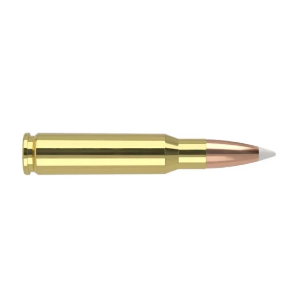 NOSLER 308WIN 165GR AB 20/200