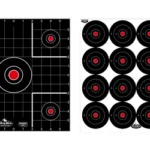 Birchwood Casey Dirty Bird Combo Targets, front view of black grid and multiple round bullseyes