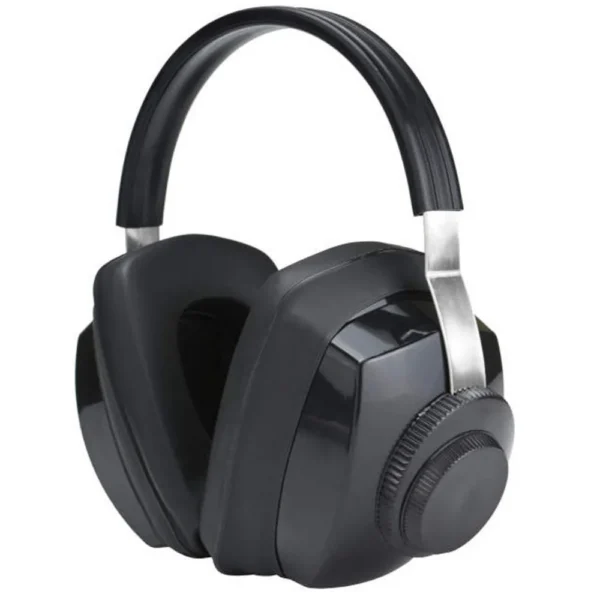Radians Inc. Radians Competitor Passive Ear Muffs 26dB Black