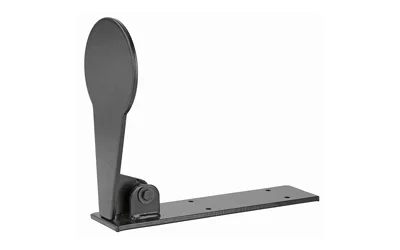 Birchwood Casey B/C W-OF-T POPPER RIMFIRE 4" PADDLE
