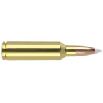 Nosler Bullets Inc. Nosler Accubond Trophy Grade Rifle Ammunition .270 WSM 140 gr PT 3100 fps 20/ct