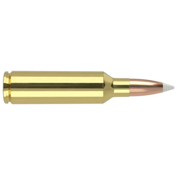 Nosler Bullets Inc. Nosler Accubond Trophy Grade Rifle Ammunition .270 WSM 140 gr PT 3100 fps 20/ct