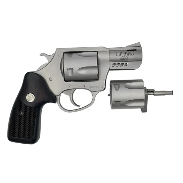 CHARTER ARMS CMBO 357MG/9MM 2.2" STS