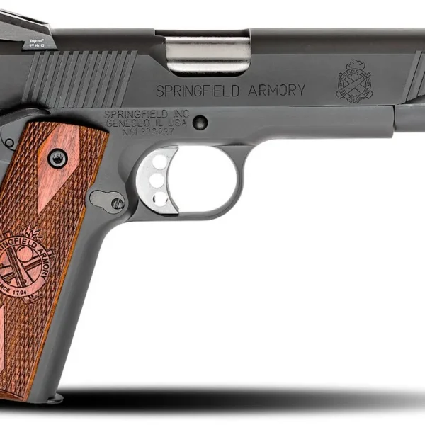 Springfield SPRGFLD 45ACP STD PRKZD LDD NS CA