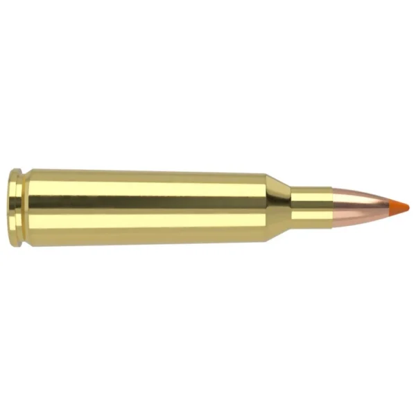 NOSLER 22-250 55GR BT 20/200
