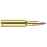 Nosler Accubond Long Range Trophy Grade rifle cartridge, side view with brass case