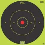 PRO-SHOT TARGET, green and black bullseye target with red center