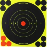 Birchwood Casey Shoot-N-C Reactive Self-adhesive Target, front view with rings and orange center